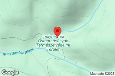 Lombkorona kávézó