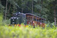 Ehető Erdő Szeleta Szerelvény gasztroexpressz