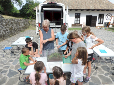                                                                                                                                 