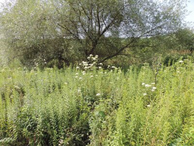                                                                                                                                 