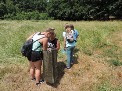                                                                                                                                 