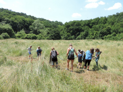                                                                                                                                 