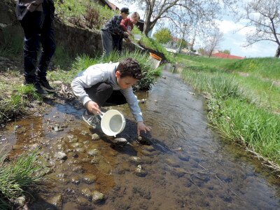                                                                                                                                 