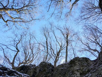 IMG_20220122_133209
