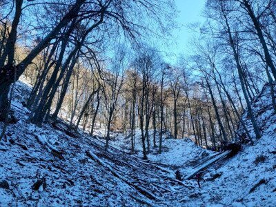 IMG_20220122_113959
