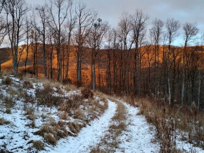 IMG_20220122_161615