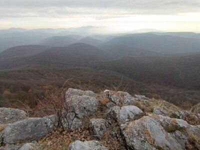 IMG_20250125_133643