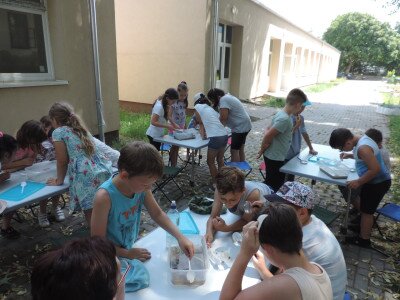                                                                                                                                 