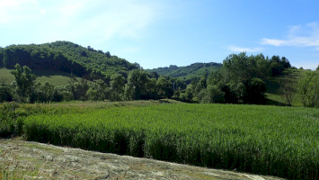 17. RÉPÁS VALLEY EDUCATIONAL TRAIL