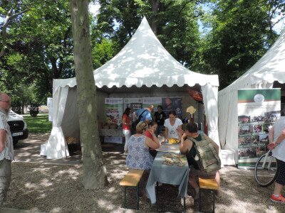                                                                                                                                 