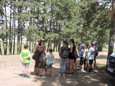                                                                                                                                 