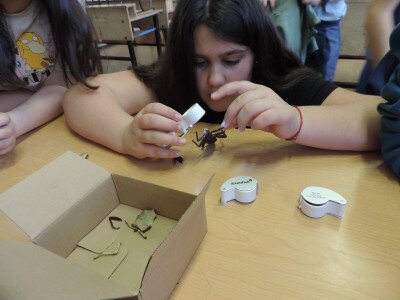                                                                                                                                 