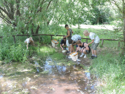                                                                                                                                 