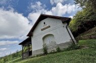 Júniusi madárgyűrűzés a Szitakötő háznál