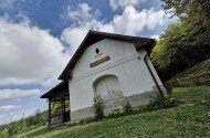 Áprilisi madárgyűrűzés a Szitakötő háznál