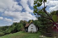 Októberi madárgyűrűzés a Szitakötő Háznál