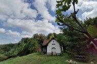 Áprilisi madárgyűrűzés a Szitakötő háznál