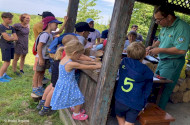 Évindító madárgyűrűzés Jávorkúton