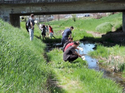                                                                                                                                 