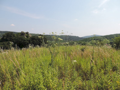                                                                                                                                 