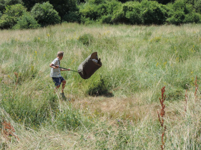                                                                                                                                 