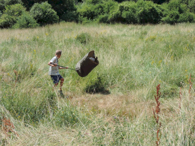                                                                                                                                 