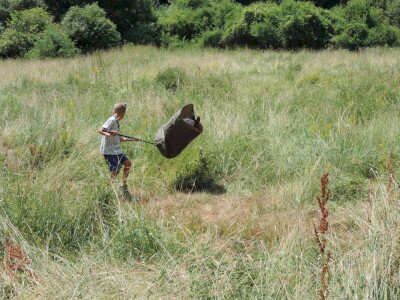                                                                                                                                 