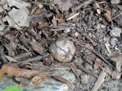                                                                                                                              