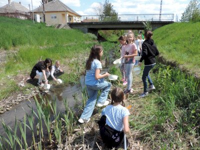                                                                                                                                 