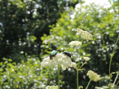                                                                                                                                 