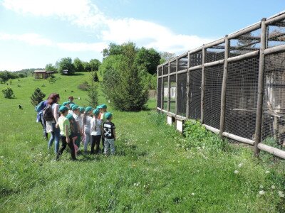                                                                                                                                 