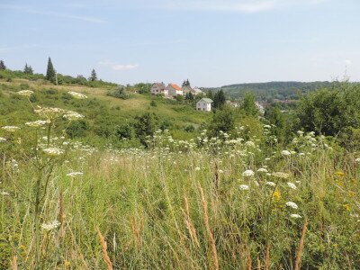                                                                                                                                 