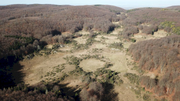 8. BÜKK PLATEAU, ZSIDÓ MEADOW