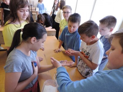                                                                                                                                 