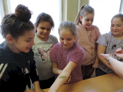                                                                                                                                 