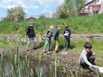                                                                                                                                 