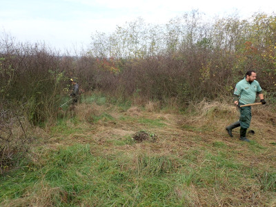 �������� ��������������������������������������������������������������������������������������������������������������������