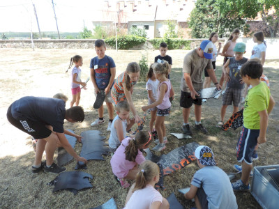                                                                                                                                 