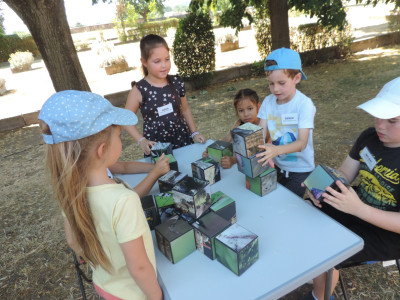                                                                                                                                 