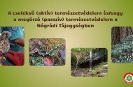 A cselekvő (aktív) természetvédelem és/vagy a megőrző (passzív) természetvédelem a Nógrádi Tájegységben