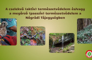 A cselekvő (aktív) természetvédelem és/vagy a megőrző (passzív) természetvédelem a Nógrádi Tájegységben