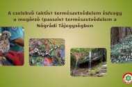 A cselekvő (aktív) természetvédelem és/vagy a megőrző (passzív) természetvédelem a Nógrádi Tájegységben