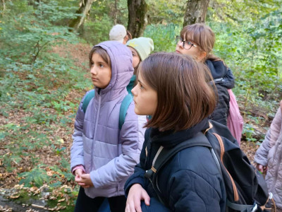 32f31413-2752-4d12-9979-42d30471476b