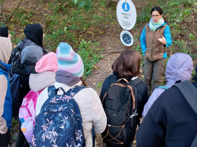 aef7e6e9-d018-45f1-9640-6875ebe9a218