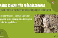 A Mátra Kincsei téli előadássorozat - Ínyenc szárnyasok – szűkülő választék. Specialista erdei madárfajok a környezeti változások árnyékában