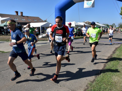 ASCII                                       