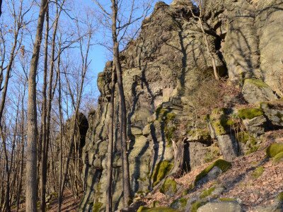 ASCII                                       