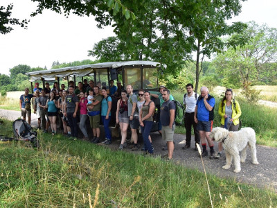 ASCII                                       