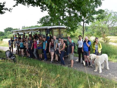 ASCII                                       