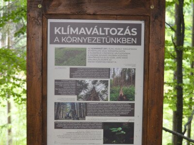 ASCII                                       